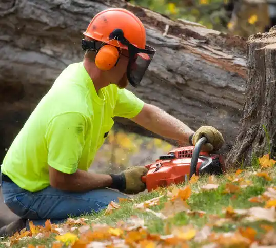 tree services Sharonville